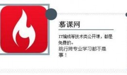 新闻爆料凤爪是真的吗知乎,凤爪真伪，网友热议知乎