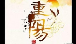 养生之道爆料视频大全集,视频大全集精华汇总